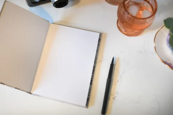 토르투가 카지노 지원